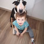 phoca_thumb_m_v 1 Fotogalerie